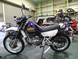 Suzuki Djebel 200